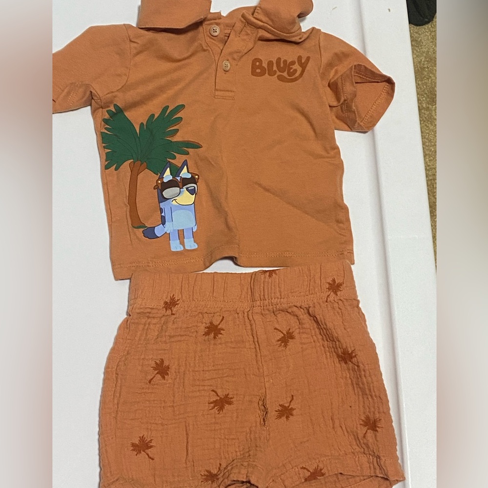 Bluey’s Two Piece Shirt and pants set